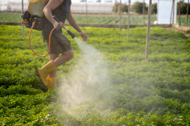 Best Pest Prevention Services  in St Paul Park, MN