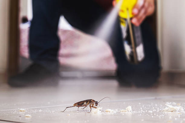 Best Cockroach Control Services  in St Paul Park, MN