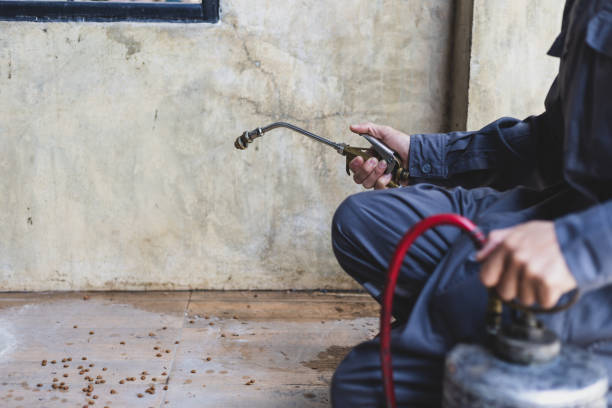 Best Best Pest Control Companies  in St Paul Park, MN